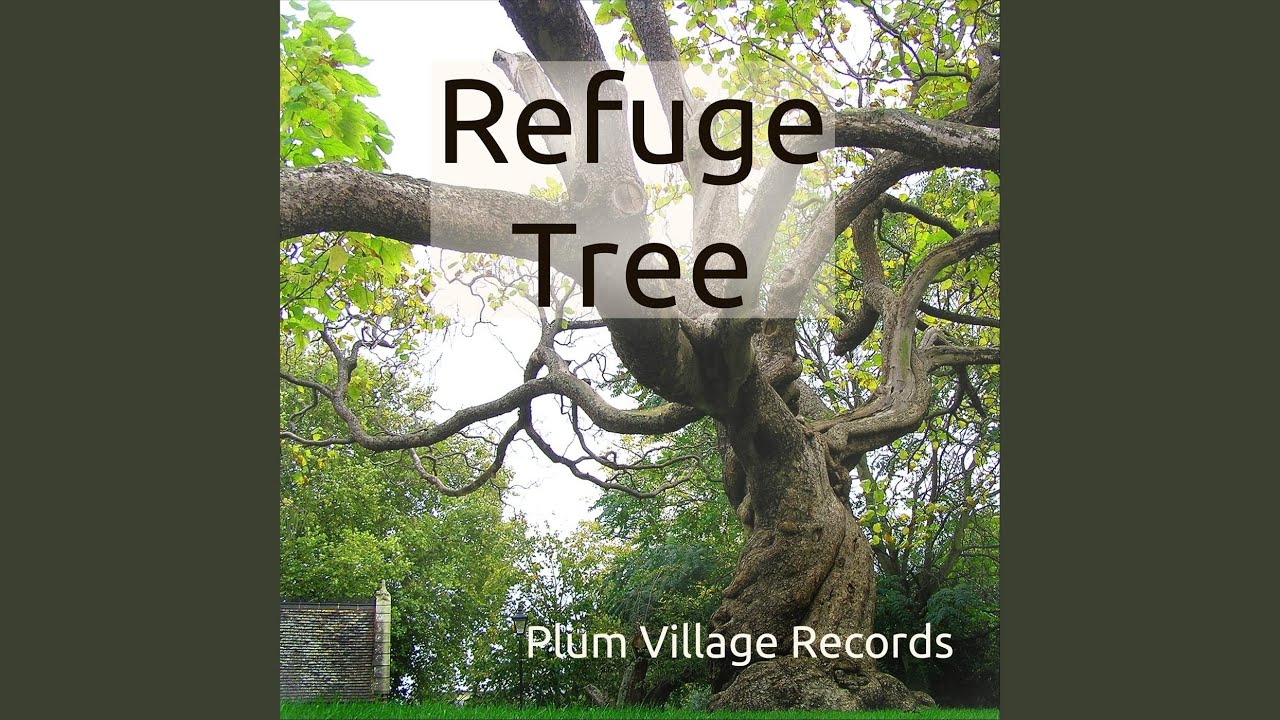 Watch Standing Like a Tree on YouTube Watch Standing Like a Tree on YouTube