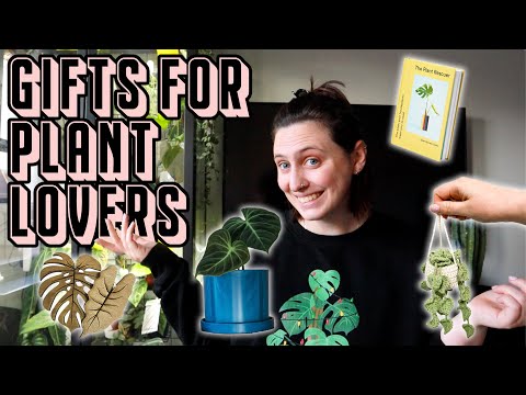 Video: Mini gavepotter – å gi planter i blomsterpotter som gaver