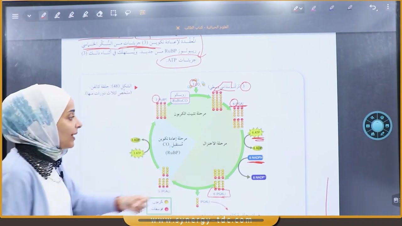حلقة كالفن التفاعلات اللاضوئية حصة 30 فصل اول