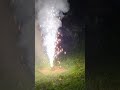 Hope Everyone had Happy Safe and Fun 4th🎆🎇✨️🇺🇸 #fireworks #4thofjulyweekend #4thofjuly2025