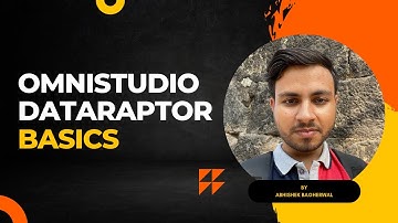 Omnistudio DataRaptor Basics