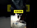みーやんママの息子が風邪です。病院前にやることやろう！2025/12/12