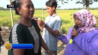 ANDI PUTRA 1NUNGGU DINA VOC WINDA DS MEKARJAYA BLOK PUNDUAN 3