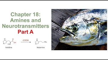 Chapter 18 Amines and Neurotransmitters Part A F 21