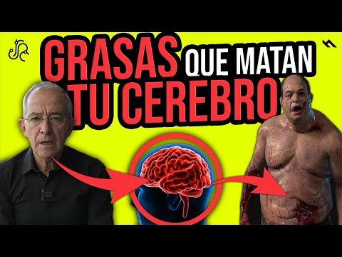 LAS GRASAS QUE
