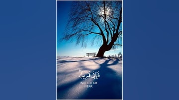 وإذا سألك عبادي عني فإني قريب | شايع التميمي قرآن شاشة سوداء بدون حقوق من سورة البقرة #قرآن #تلاوة