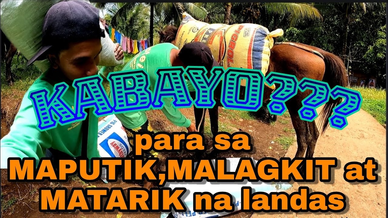 KONSEPTO SA PAGHAKOT NG PRODUKTO SA BUKID MULA NOON HANGGANG NGAYON I BUHAY BUKID