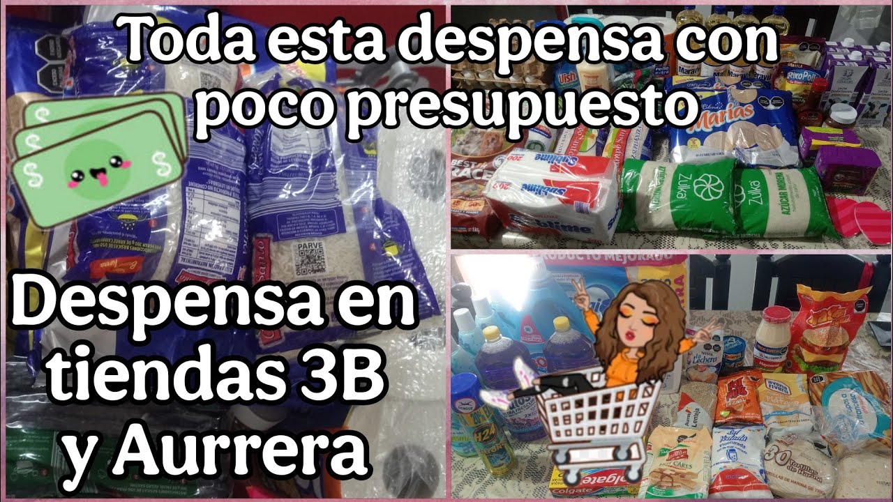 🛒 RESTOK MENSUAL DE FEBRERO 💵 DESPENSA MENSUAL EN TIENDAS 3B Y AURRERA 💰