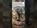 O bicho que desafia a física: Como ele sobrevive a tudo?