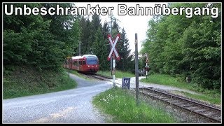 Rarität am Berg! 🛤️ Unbeschrankter SZU Bahnübergang | Üetliberg Zürich | Thomas1980