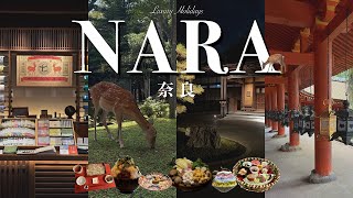 【奈良旅行vlog】今行きたい、はじまりの地