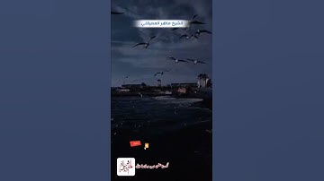 (الله لا إله إلا هو وعلى الله فليتوكل المؤمنون) أرح سمعك تلاوة جميلة الشيخ ماهر المعيقلي وفقه الله