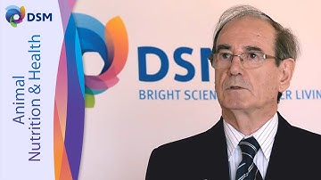 Horacio Rostagno On His Experiences With Feed Proteases