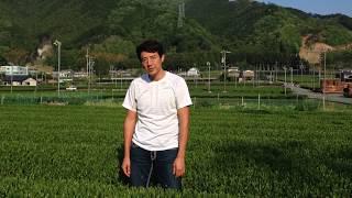 お茶のように渋くなりたいあなたに…
