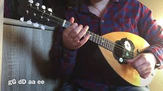 Mandolin with two octave courses gG dD aa ee
