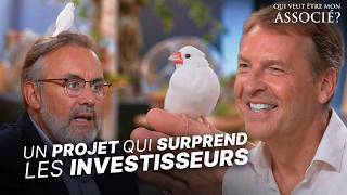 Le Pitch Qui Prend Les Investisseurs De Court My Padda My Padda S3