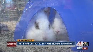 Popular Lawrence pet store Pet World reopens this weekend