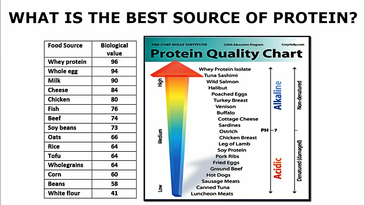 Biological Value Of Protein Chart