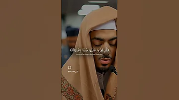 Beautiful اكسبلور القزابري Kabutar Pigeon تصويري Kabootar Mbc لايك دويتو 