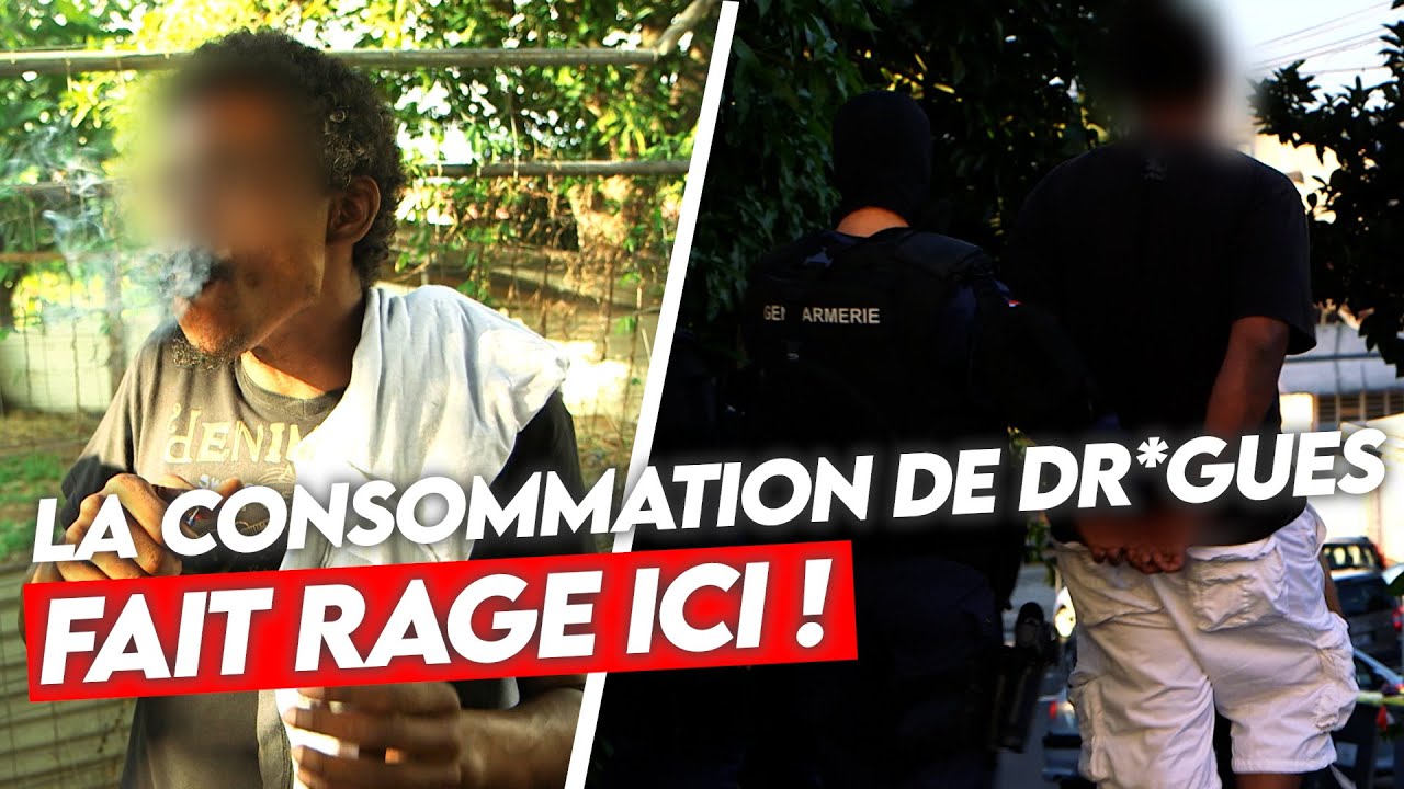Martinique : dans les coulisses d’un trafic qui inquiète | Docu Choc