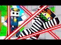 HO GIOCATO A GUARDIE E LADRI SU MINECRAFT *PRIGIONE GIGANTE*