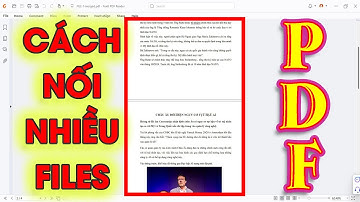 CÁCH NỐI NHIỀU FILE PDF LẠI VỚI NHAU