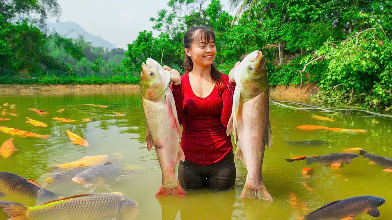 Harvesting Big Fish for Market – Cooking Fresh Catch in the Wild | Phương New Bushcraft