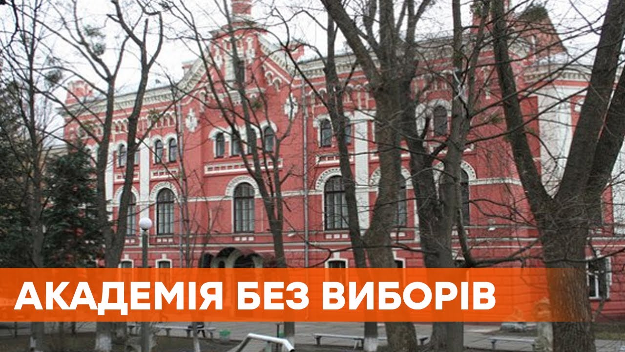 Тянут уже третий месяц. Почему в Академии изобразительного искусства не могут провести выборы