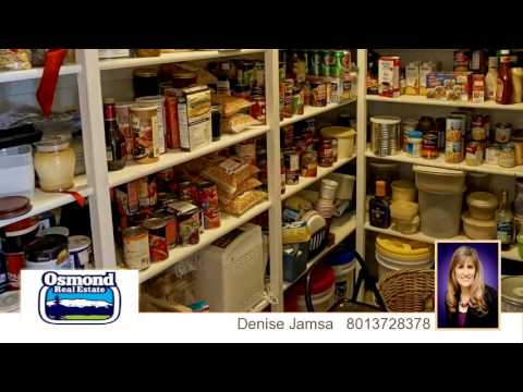 28 N Shady Lane, Salem, UT home video tour