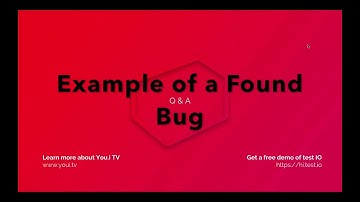 Example of a Found Bug