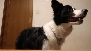 ミニディスク　Ｊｊ