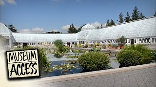 The New York Botanical Garden - Museum Access