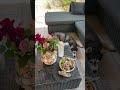 Vlog du vendredi ☀️ #vlog #lifestylevlog #provence