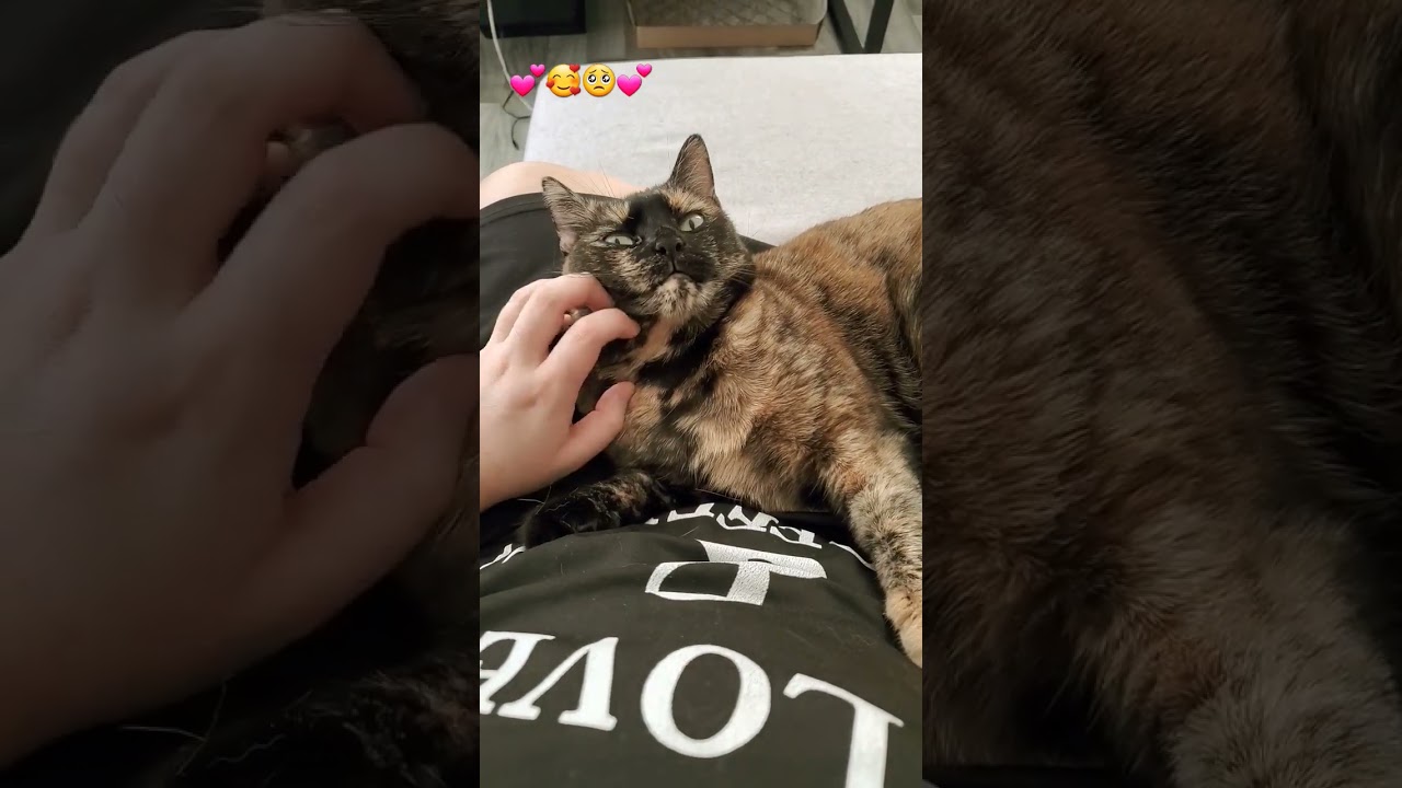 happy Friday 🌸 Luna is glad it's the end of the week 