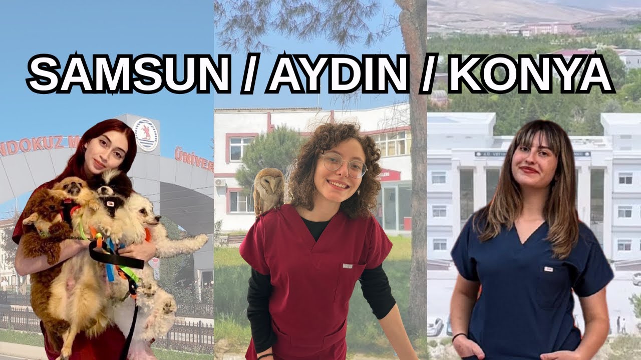 Samsun, Aydın ve Konya’daki Veteriner Fakültelerini Karşılaştırıyoruz!