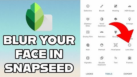 How to Blur Face in SnapSeed 2024?