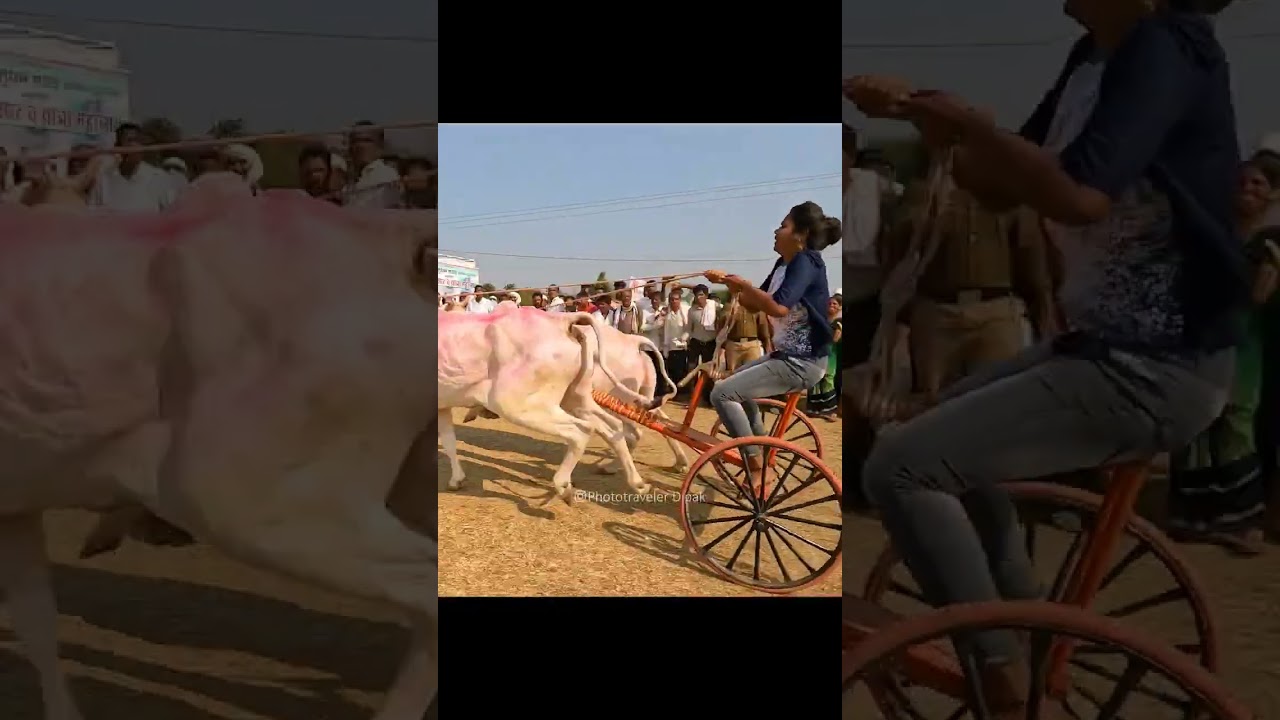 Mere Mittar Masoom Sharma New Haryanvi Songs 2024 Trending AmitDhullOfficial Badmashi - YouTube Auto PHP Script