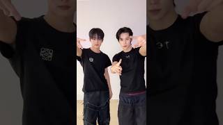 아웅다웅 🐰🐶 #스티브 #우노