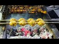 Delicious restaurant style gola kabab street food