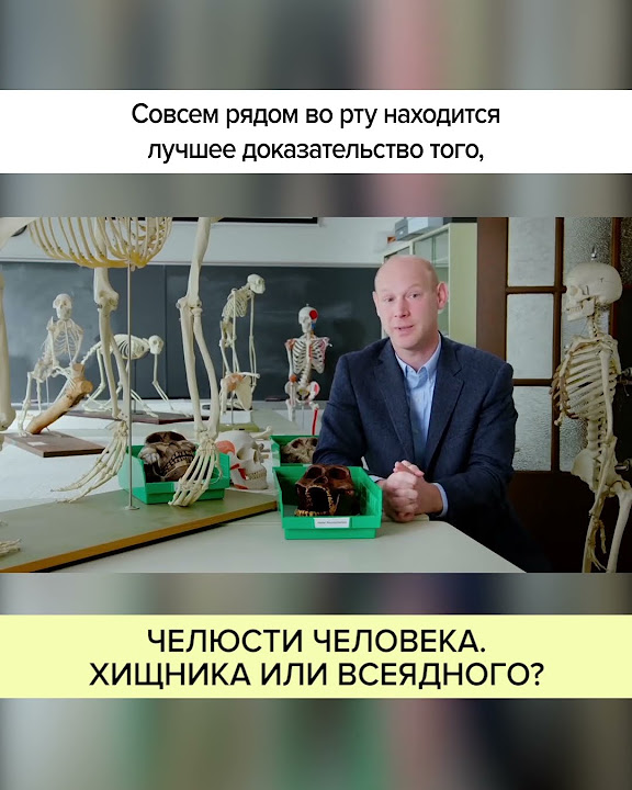 Челюсти человека: ХИЩНИКА или ВСЕЯДНОГО? Полный ролик в комментариях! # ...