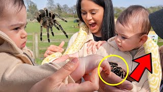 BABY’S REACTION WHEN HE SEES A SNAKE & TARANTULA FOR THE FIRST TIME!!! (A DAY AT THE FARM)