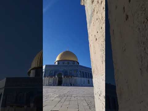 أحبك والهوى رزق