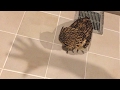 影踏み遊びしてみた