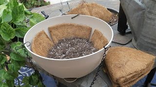 Coconut Liners Are Great For My Hanging Plants!