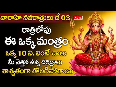 🔴 LIVE : వారాహి నవరాత్రులు Day 3 | శక్తివంతమైన పాటలు శ్రీ వారాహి అమ్మవారి పాటలు | STV MANTRA JAPAM