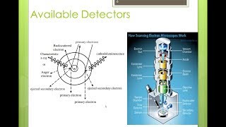 Part 1-An Introduction to Scanning electron Microscope (SEM)