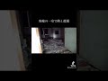 【心霊】心霊LIVE中、廃墟の一室で熊と遭遇【アヤハルの心霊ch】