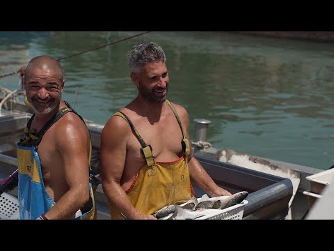 ევროპელი მეთევზეები უსაფრთხო სამუშაო პირობებს ითხოვენ