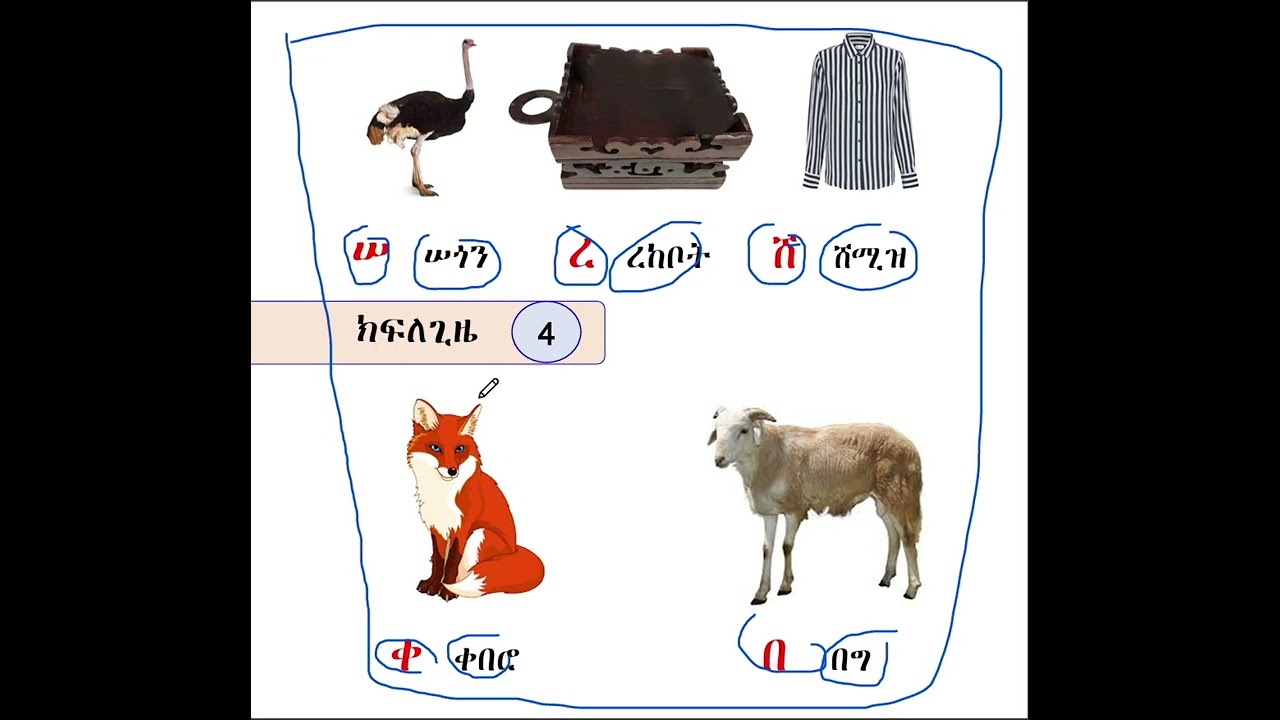 ፊደላትን በቀላሉ ለመያዝ ክፍል 1