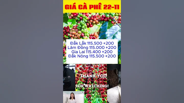 Giá cà phê hôm nay 22/11 Tiếp tục tăng-Giá cả thị trường-Giá nông sản-Thị trường\Tiên Lisa